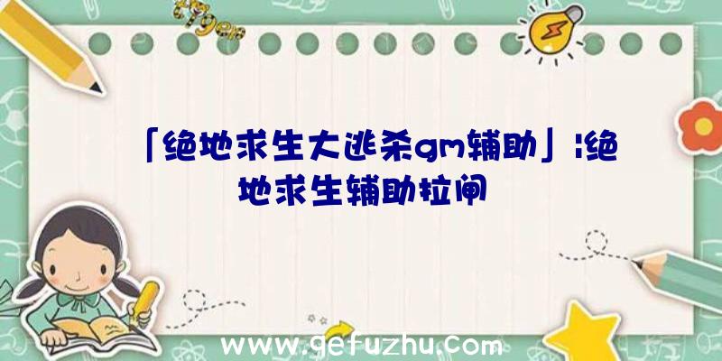 「绝地求生大逃杀gm辅助」|绝地求生辅助拉闸